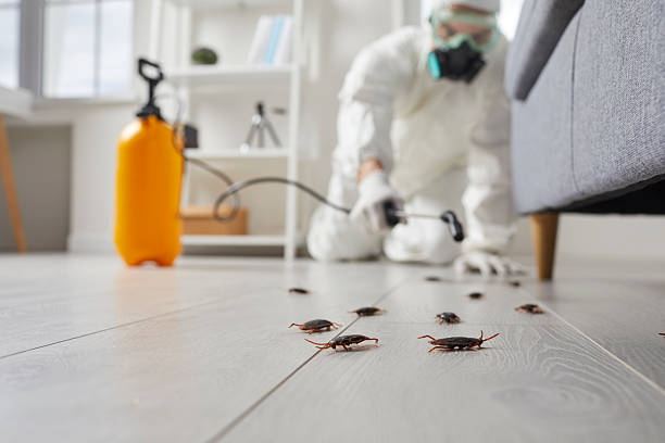 Commercial Kitchen Cockroach Control in Oak Harbor